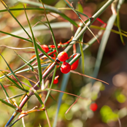 Top 10 Edible Wild Plants for Survival: A Guide to Foraging in the